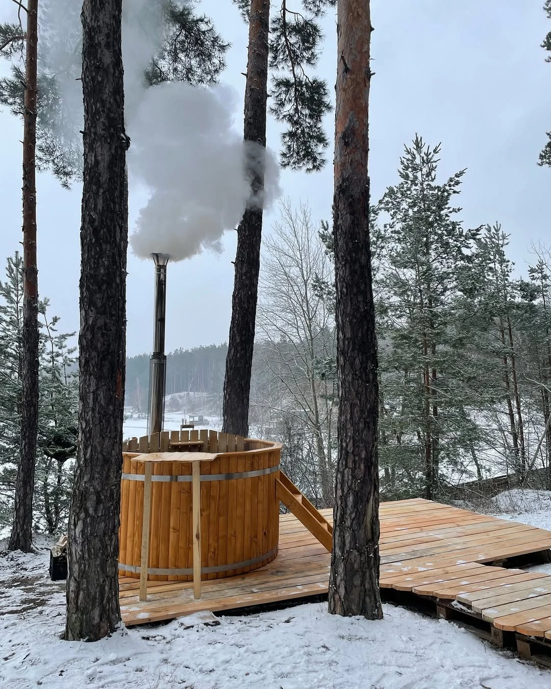 Баня Сосоновый бор — сауны и бани Харькова