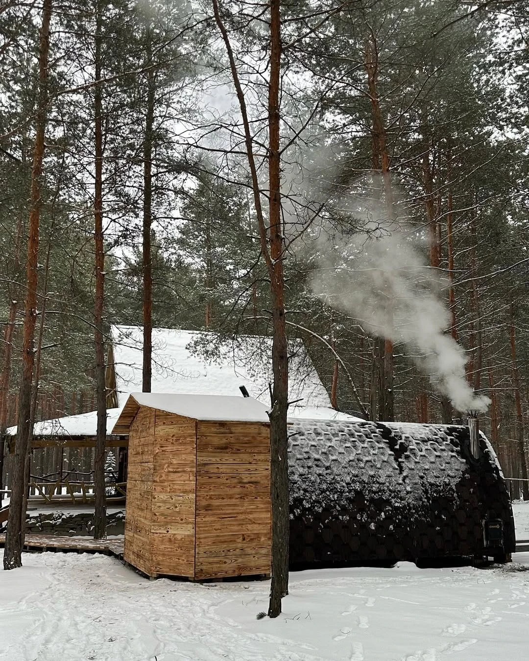 Баня Сосоновый бор — сауны и бани Харькова