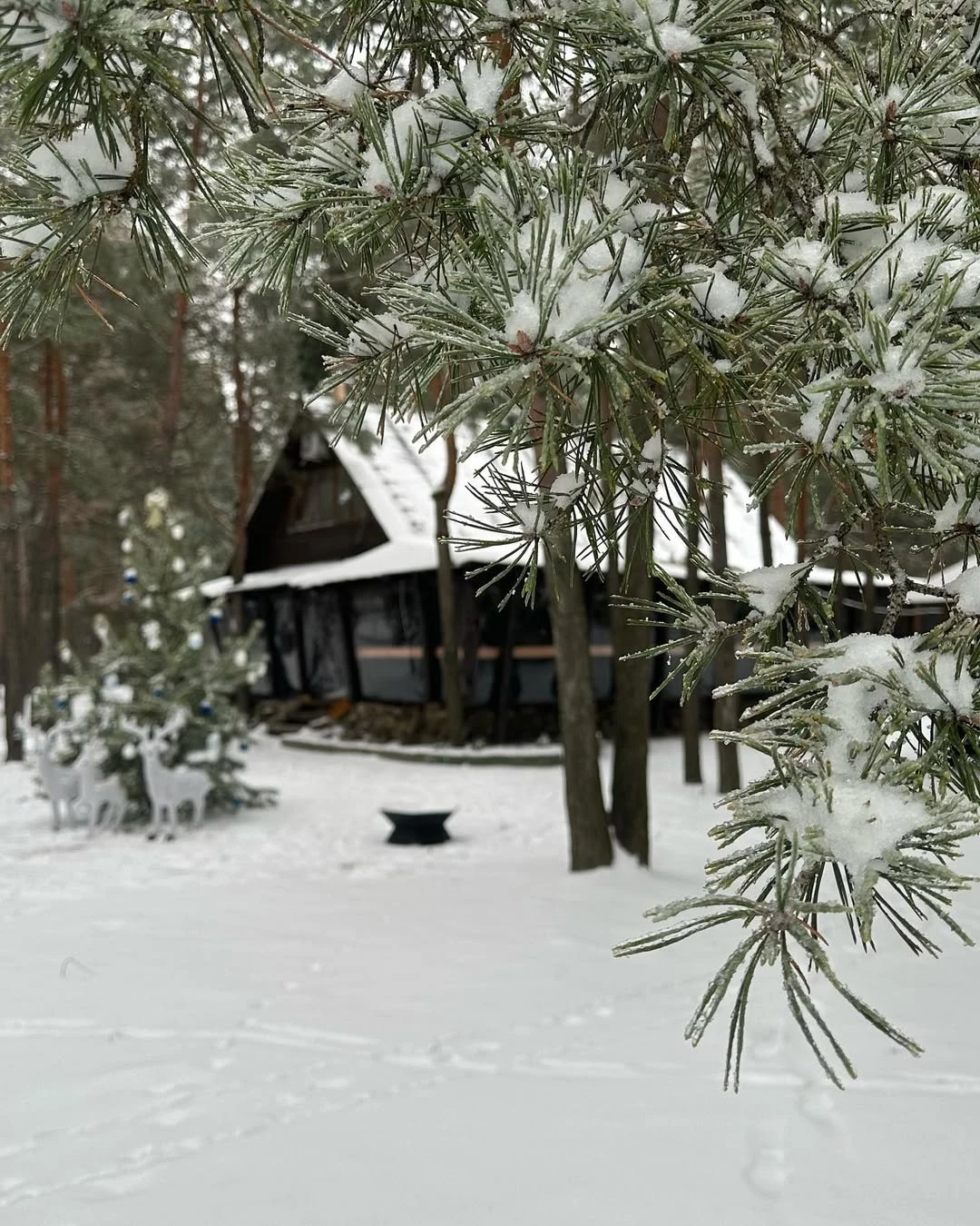 Баня Сосоновый бор — сауны и бани Харькова